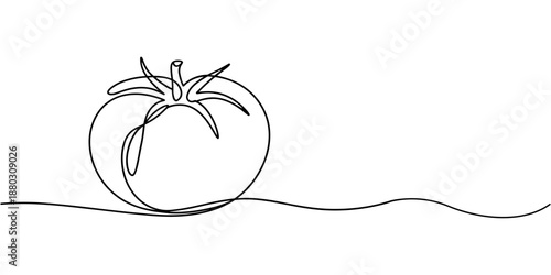 tomatoes in one continuous line Dynamic single line draw design vector illustration Editable stroke, Tomatoes and halved tomatoes, continuous line drawing hand drawn line art on transparent