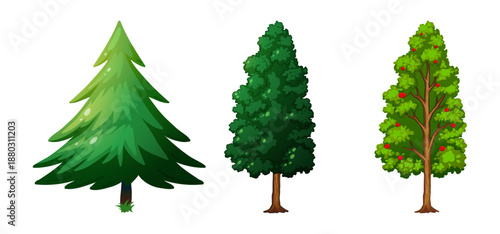 
Evergreen Conifer Trees Collection – Spruce, Fir, Pine, Cedar and Cypress Tree Vector Illustration for Forest, Nature and Winter Landscape Design