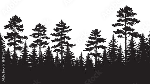 Dense evergreen forest silhouette creates a beautiful natural woodland border vector illustration landscape design element
