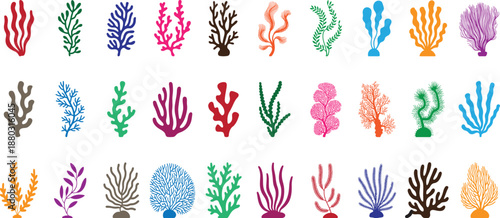 Multi color highly detailed and realistic underwater flora clipart various Collection, various types of seaweed, nature concept, Sea Corals and Seaweed ,vector illustration for logo. 