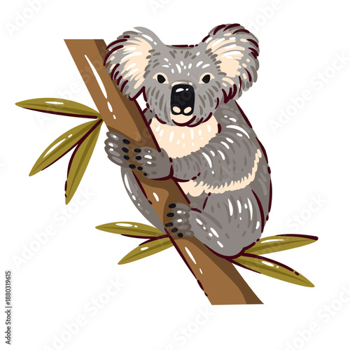 Koala sitting on tree branch with eucalyptus leaves, wildlife animal character, Australian nature symbol, travel and fauna concept, soft shapes and details. Cartoon vector illustration.