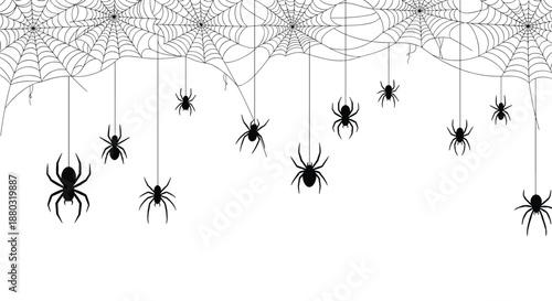 Creepy halloween border design featuring dense spider webs hanging from the ceiling with many black spiders for spooky seasonal party decorations.