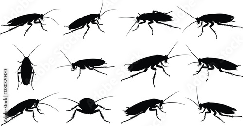 Collection of cockroach silhouettes in varied poses and orientations arranged in grid pattern for insect illustration and pest control design