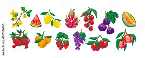 Fruit in Hand-drawn style set, fresh fruits vector collection, healthy food illustration for design menu, banner, label, packaging, branding, advertising, posters	