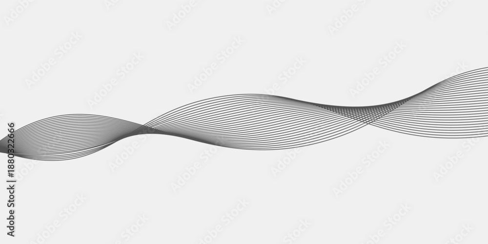 Fototapeta premium Abstract black wavy on grey background. Flow dynamic stripes line modern