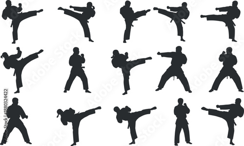 Martial arts silhouettes showing dynamic kicks and stances in grid arrangement for karate, taekwondo, combat training, fitness, discipline design