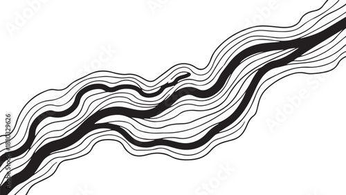 Wavy black and white lines on a clean background