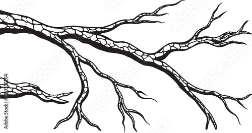 Black and white illustration of a bare tree branch