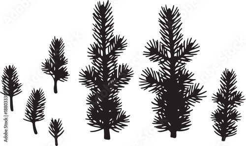 Black silhouettes of pine trees on white background illustration