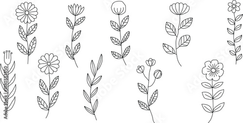 Botanical illustration of various plant species with flowers and leaves