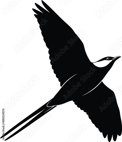 A black and white illustration of a frog