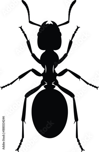 Santa claus riding sleigh pulled by reindeer