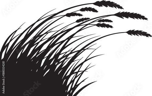 Black Silhouette of Grass and Wheat on White Background