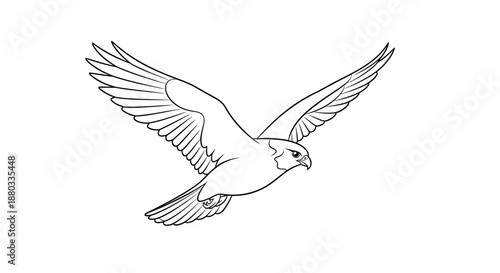 Minimalistic Line Drawing of a Soaring Bird with Outstretched Wings for Art and Illustration