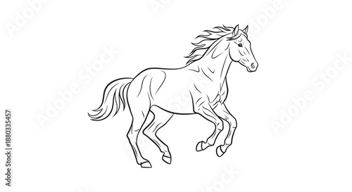 Elegant Line Art Illustration of a Galloping Horse in Motion for Artistic and Design Use