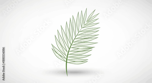 Minimalist Green Palm Leaf Illustration with Light Shadow on White Background