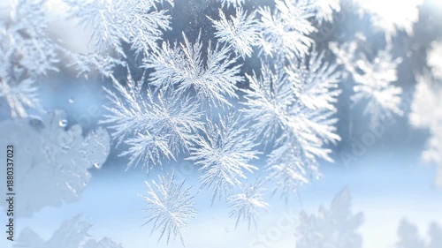 Wallpaper Mural Delicate Frozen Artistry Backlit, emphasizing sparkle and depth Torontodigital.ca