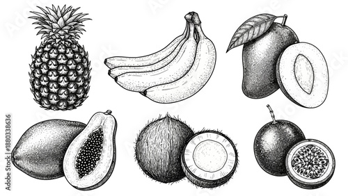 Vintage engraving style illustrations of exotic tropical fruits. Featuring pineapple, mango, banana, and coconut for healthy food and natural product concepts and designs