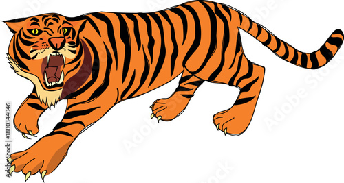 tiger vector illustration