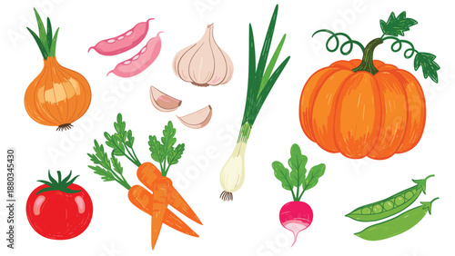 Colorful variety of fresh vegetable illustrations including pumpkin, carrots, tomato, onion, garlic, and peas.