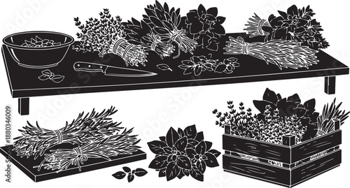 Black and white illustration of herbs and spices collection
