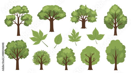 Detailed collection of various green tree species and individual leaves in a flat graphic illustration style.