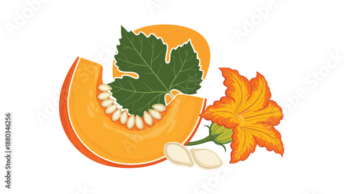 Vibrant illustration of a fresh slice of pumpkin with seeds, a green pumpkin leaf, and a bright orange flower.