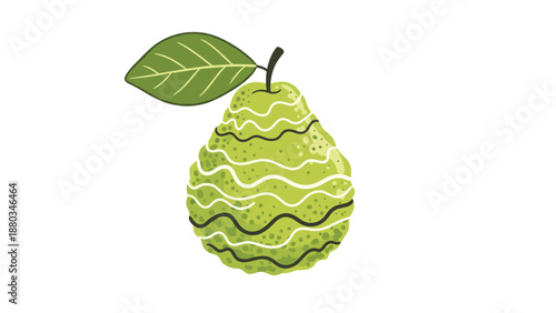 Stylized illustration of a lime or citrus fruit with unique wavy patterns on its skin and a single green leaf.