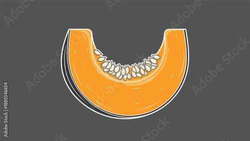 Realistic illustration of a slice of orange cantaloupe or pumpkin with seeds against a dark solid grey background.