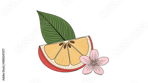Artistic composition featuring a slice of grapefruit or citrus fruit, a large green leaf, and a small pink flower.