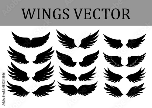 A curated selection of black silhouette wing organized into three vertical arrays on a white background, highlighting different feather textures and wing curvatures for artistic use