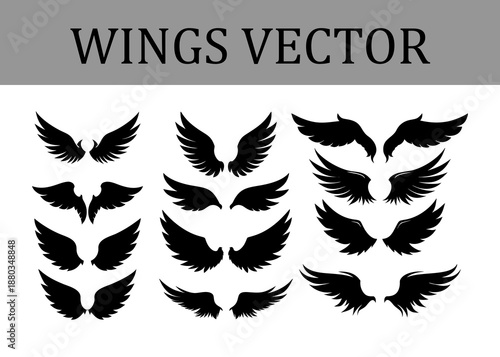 A compilation of distinct black silhouette wing presented in three vertical columns on a white backdrop, offering a variety of feather arrangements and wing spans for creative projects