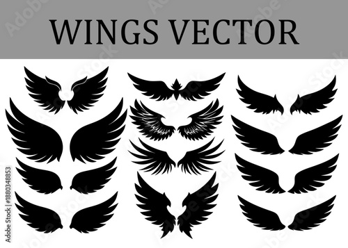 Collection of diverse black silhouette wing arranged in three columns on a white background each featuring distinct feather patterns and shapes for Keywords: wings, silhouette, black, white