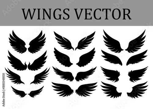 Ensemble of black silhouette wing arranged in three columns on a white surface featuring a range of feather styles and sizes for decorative and symbolic use Keywords: wings, silhouette, black