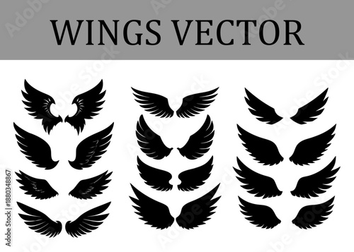 Assortment of black silhouette wing presented in three vertical columns on a white background with varied feather textures and outlines projects Keywords: wings, silhouette, black, white