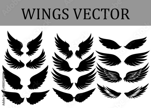Collection of diverse black silhouette wing in various sizes and styles arranged in three columns on a white background representing different for and symbols