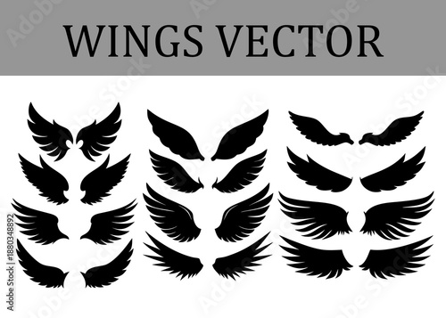 Collection of diverse black silhouette wing in various sizes and styles arranged in three columns on a white background representing different for and symbols