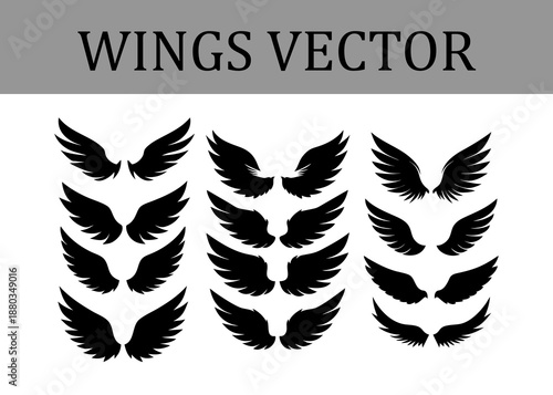 Collection of diverse black silhouette wing featuring feathered in various sizes and styles arranged in three columns on a white background with a text overlay reading WINGSVECTOR