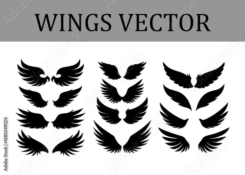 Assortment of black silhouette wing displaying different feather patterns and shapes arranged in three vertical columns against a stark white background with a title banner Keywords: wings, wing
