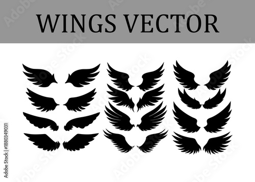 Ensemble of black silhouette wing pieces showcasing distinct feathered textures and forms presented in three vertical rows on a white canvas with a header Words Keywords: wings, wing, silhouette