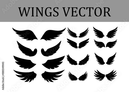 Group of Black Silhouette Wing for and Artistic Endeavors Featuring Distinct Feather Patterns and Wing Forms on a White Background for Easy Use in Digital and Print Media