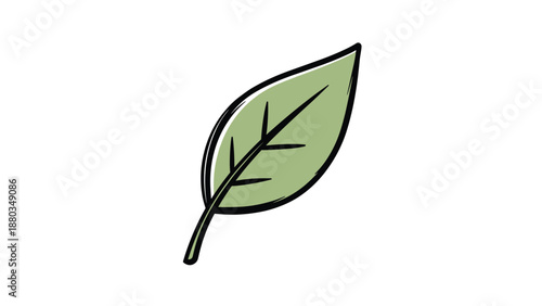 Simple hand-drawn illustration features a single green leaf with dark outlines and vein details for botanical or nature design.