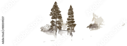 透明な背景に描かれた、そびえ立つ常緑樹と自然の風景が、静かで落ち着いた雰囲気を醸し出す、デザイン素材として活用できるイラストレーション。