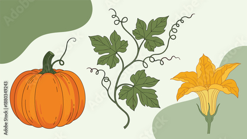 Vibrant botanical illustrations feature a whole orange pumpkin, a leafy green vine, and a yellow flower set against a soft muted background.