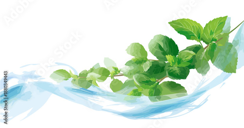 白い背景に透明感あふれる水流と瑞々しい緑の葉が爽やかさを演出する、清潔感と自然の恵みを感じさせる美しいグラフィック素材。