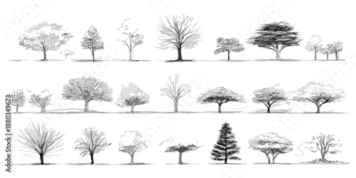 さまざまな種類の木々を手描きスケッチで表現したコレクション。建築パースやデザイン素材として活用できる、透明感のあるイラストセットです。