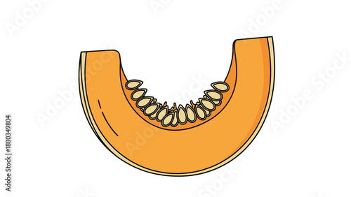 Illustration of a sliced orange pumpkin or squash showing its detailed seeds and textured flesh on a plain white background.