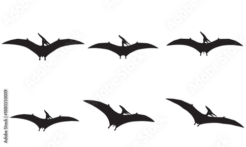 Six black silhouettes of pterodactyls in flight on white background.