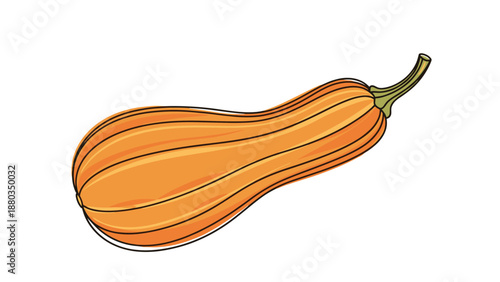 Illustration of a whole orange butternut squash with its characteristic elongated shape and thick skin on a white background.