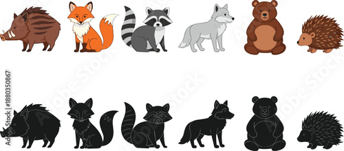 Cute forest animals collection with colorful illustrations and black silhouettes including bear, fox, wolf, raccoon, hedgehog, and wild boar vector.